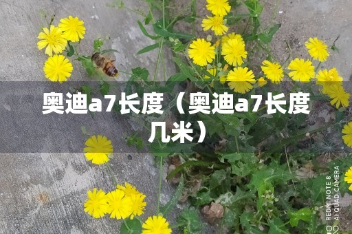 奥迪a7长度（奥迪a7长度几米）