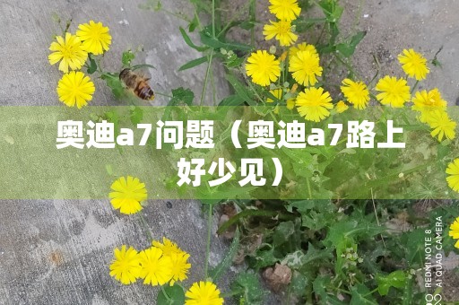 奥迪a7问题（奥迪a7路上好少见）