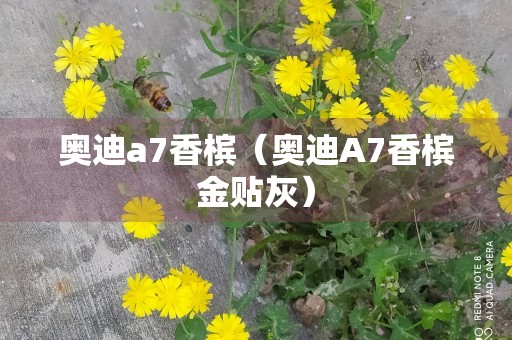 奥迪a7香槟（奥迪A7香槟金贴灰）