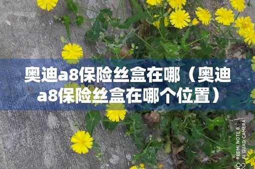 奥迪a8保险丝盒在哪（奥迪a8保险丝盒在哪个位置）