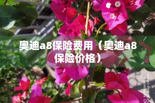 奥迪a8保险费用（奥迪a8保险价格）