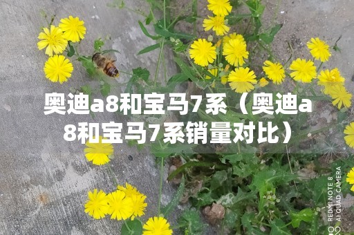 奥迪a8和宝马7系（奥迪a8和宝马7系销量对比）