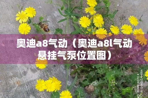 奥迪a8气动（奥迪a8l气动悬挂气泵位置图）