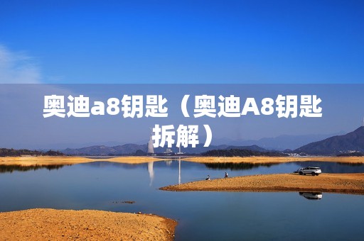 奥迪a8钥匙（奥迪A8钥匙拆解）