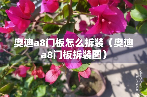 奥迪a8门板怎么拆装（奥迪a8门板拆装图）