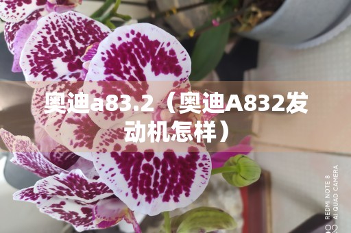 奥迪a83.2（奥迪A832发动机怎样）