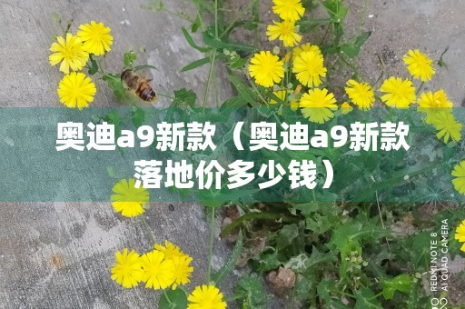 奥迪a9新款（奥迪a9新款落地价多少钱）