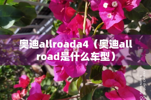 奥迪allroada4（奥迪allroad是什么车型）