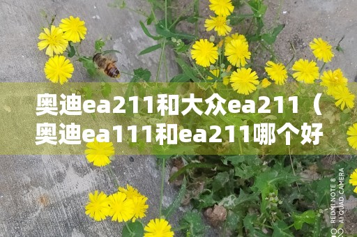 奥迪ea211和大众ea211（奥迪ea111和ea211哪个好）