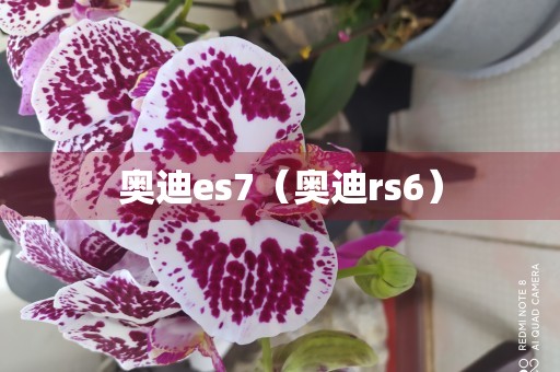 奥迪es7（奥迪rs6）