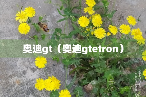 奥迪gt（奥迪gtetron）