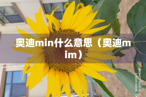 奥迪min什么意思（奥迪mim）