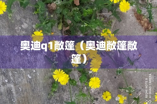 奥迪q1敞篷（奥迪敞篷敞篷）