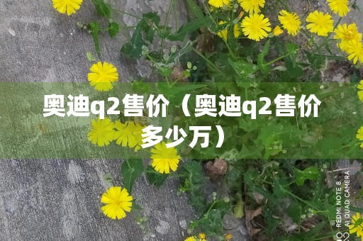 奥迪q2售价（奥迪q2售价多少万）