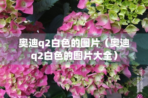 奥迪q2白色的图片（奥迪q2白色的图片大全）