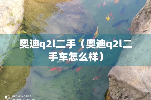 奥迪q2l二手（奥迪q2l二手车怎么样）