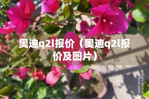 奥迪q2l报价（奥迪q2l报价及图片）