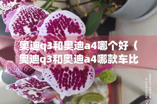 奥迪q3和奥迪a4哪个好（奥迪q3和奥迪a4哪款车比较好）