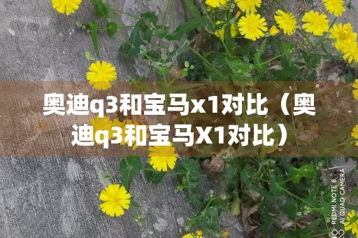 奥迪q3和宝马x1对比（奥迪q3和宝马X1对比）