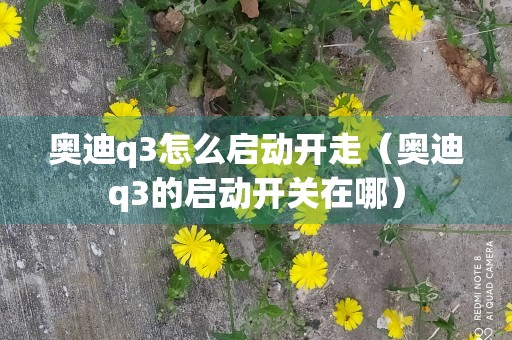 奥迪q3怎么启动开走（奥迪q3的启动开关在哪）