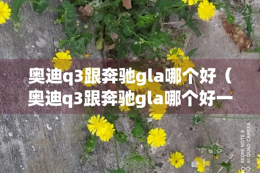 奥迪q3跟奔驰gla哪个好（奥迪q3跟奔驰gla哪个好一点）