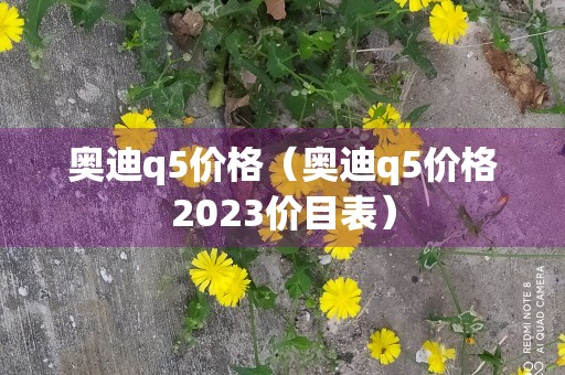 奥迪q5价格（奥迪q5价格2023价目表）