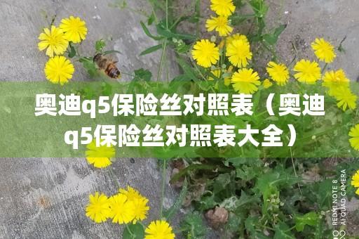 奥迪q5保险丝对照表（奥迪q5保险丝对照表大全）