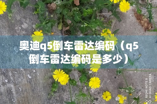 奥迪q5倒车雷达编码（q5倒车雷达编码是多少）