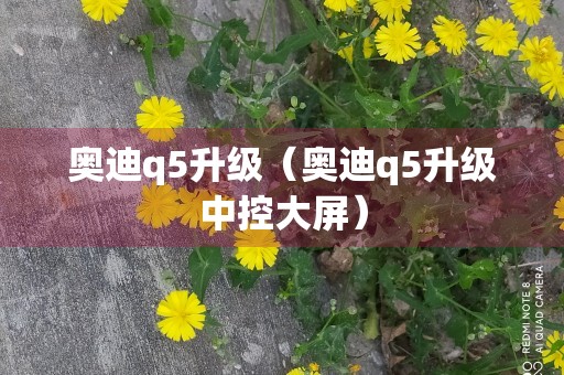 奥迪q5升级（奥迪q5升级中控大屏）