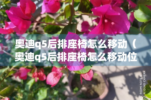 奥迪q5后排座椅怎么移动（奥迪q5后排座椅怎么移动位置）