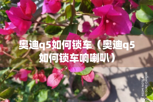 奥迪q5如何锁车（奥迪q5如何锁车响喇叭）