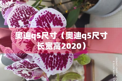 奥迪q5尺寸（奥迪q5尺寸长宽高2020）