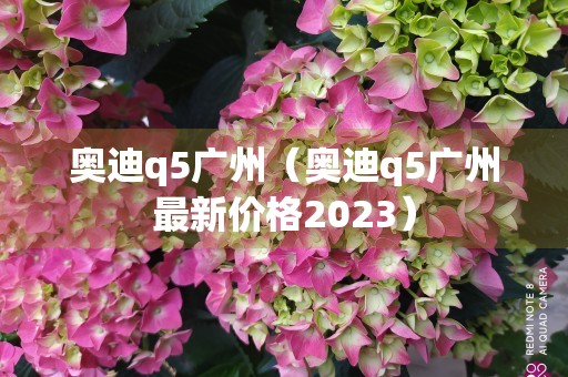 奥迪q5广州（奥迪q5广州最新价格2023）