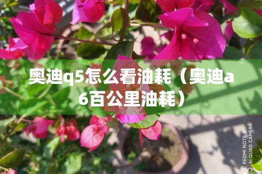 奥迪q5怎么看油耗（奥迪a6百公里油耗）