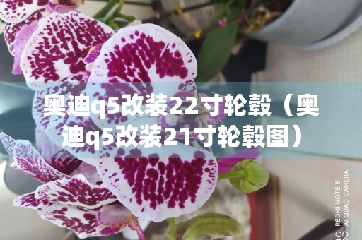 奥迪q5改装22寸轮毂（奥迪q5改装21寸轮毂图）