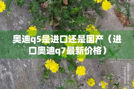 奥迪q5是进口还是国产（进口奥迪q7最新价格）