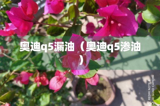 奥迪q5漏油（奥迪q5渗油）