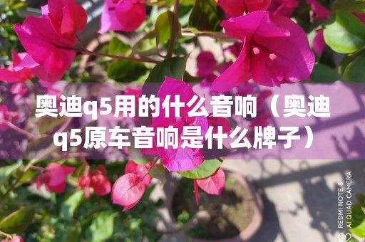 奥迪q5用的什么音响（奥迪q5原车音响是什么牌子）