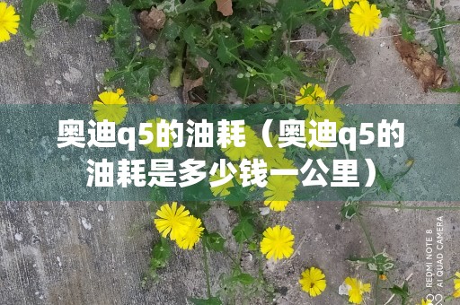 奥迪q5的油耗（奥迪q5的油耗是多少钱一公里）