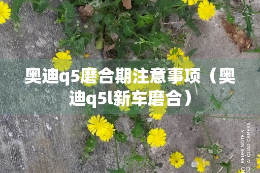 奥迪q5磨合期注意事项（奥迪q5l新车磨合）