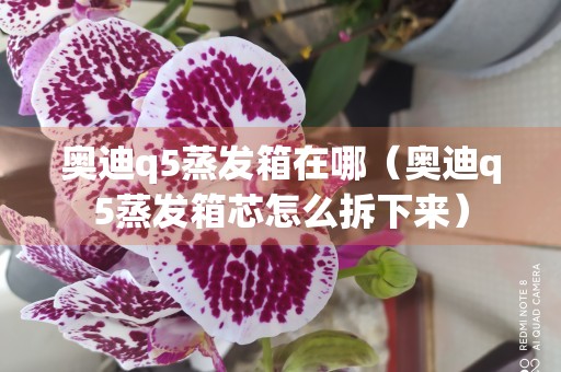 奥迪q5蒸发箱在哪（奥迪q5蒸发箱芯怎么拆下来）