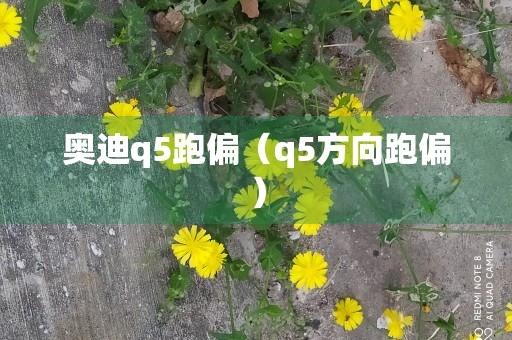 奥迪q5跑偏（q5方向跑偏）