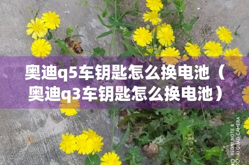 奥迪q5车钥匙怎么换电池（奥迪q3车钥匙怎么换电池）