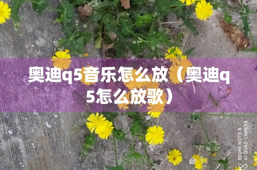 奥迪q5音乐怎么放（奥迪q5怎么放歌）