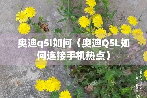 奥迪q5l如何（奥迪Q5L如何连接手机热点）