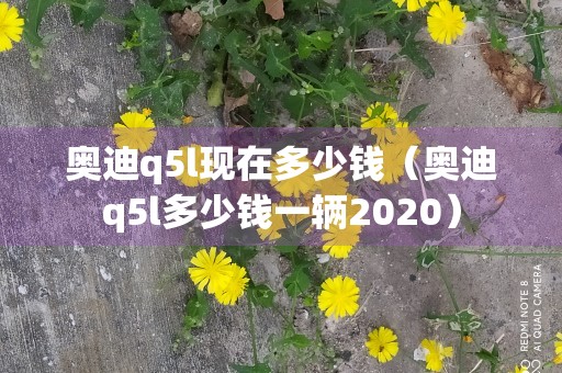 奥迪q5l现在多少钱（奥迪q5l多少钱一辆2020）