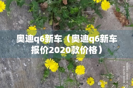 奥迪q6新车（奥迪q6新车报价2020款价格）