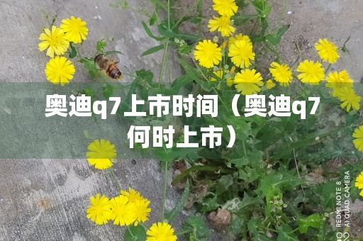 奥迪q7上市时间（奥迪q7何时上市）