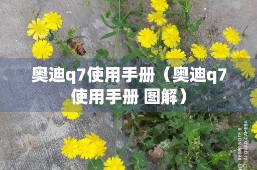 奥迪q7使用手册（奥迪q7使用手册 图解）