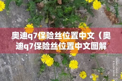 奥迪q7保险丝位置中文（奥迪q7保险丝位置中文图解）